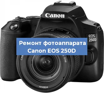 Замена шторок на фотоаппарате Canon EOS 250D в Тюмени